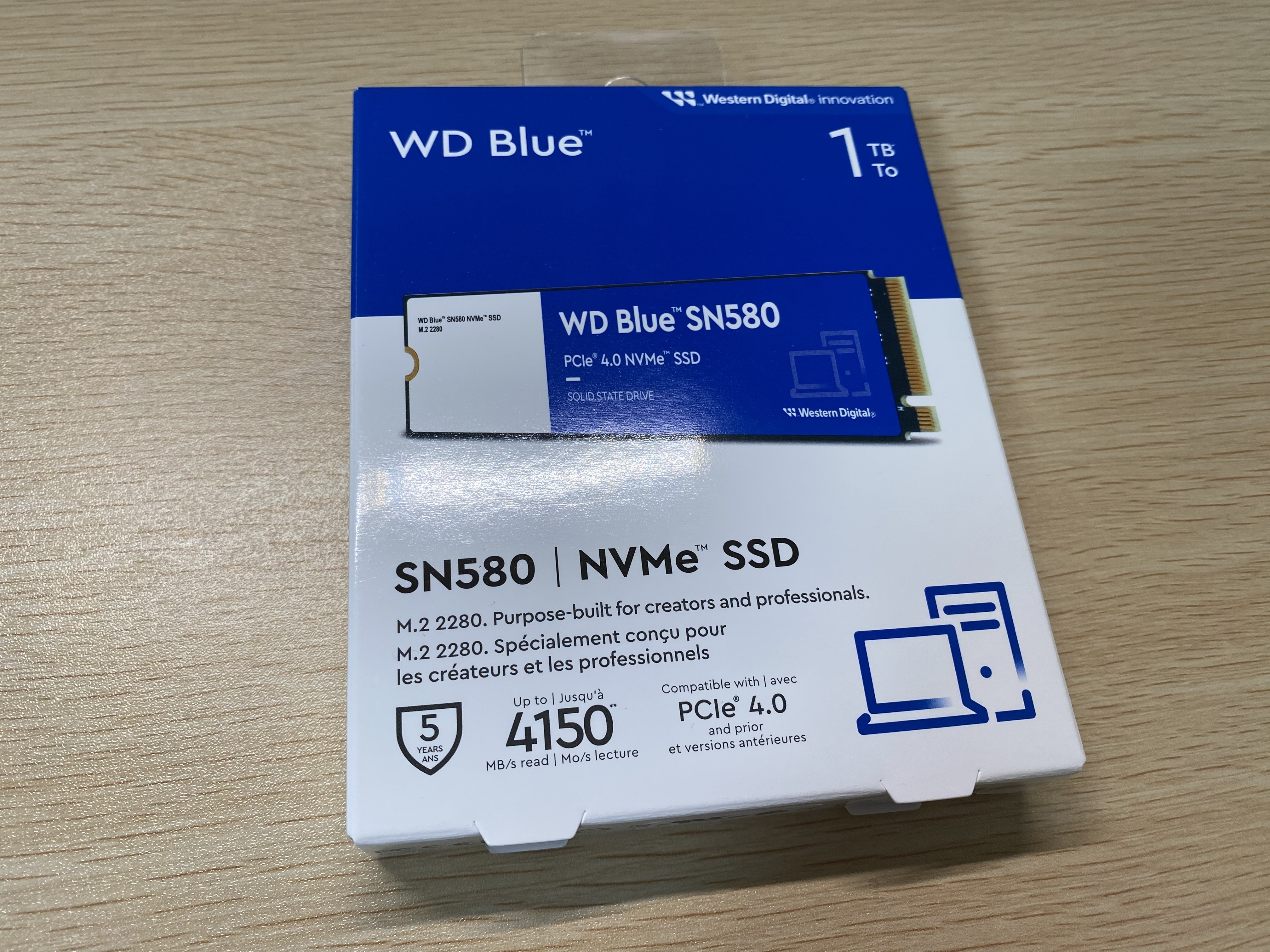 WDS100T3B0E